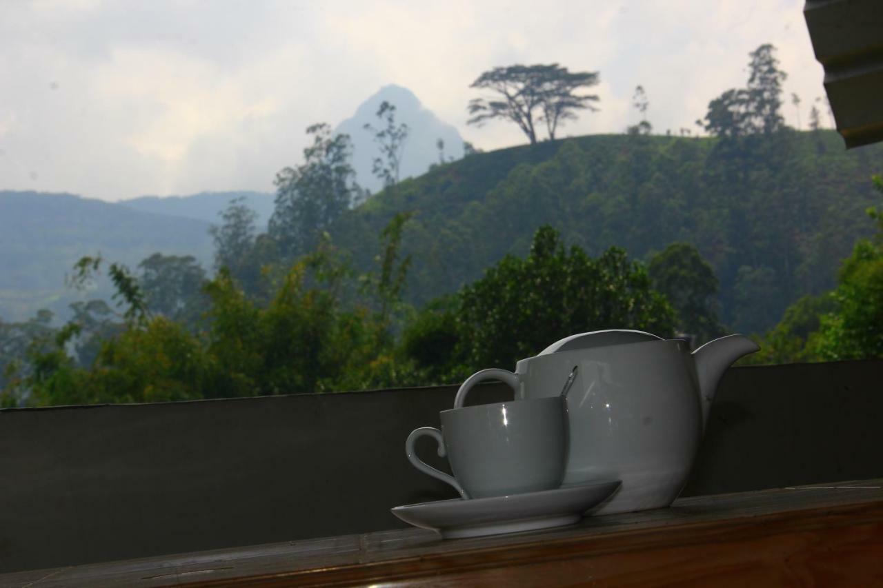Ayos Hill Adam'S Peak Free Shuttle Hotel Nallathanniya Bagian luar foto